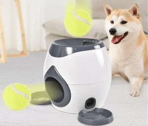 Automatic Pet Training And Feeding System - Cool Brand Designs