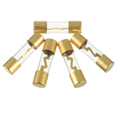 Xscorpion Agu 100 Amp Fuse  Gold Plated Ends (5 Pack)