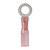 Ancor 22-18 1/4 Ring Terminal Heat Shrink Red 25 Pack