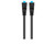 Garmin 1ft Bluenet Cable