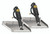 Lenco 12inx18in Edge Mount Trim Tab Kit 12v Requires Switch