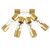 Xscorpion Agu 100 Amp Fuse  Gold Plated Ends (5 Pack)