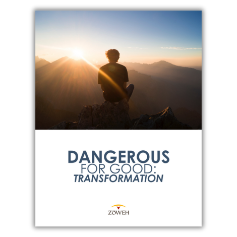 Dangerous for Good - Part 3: Transformation (PDF Download)