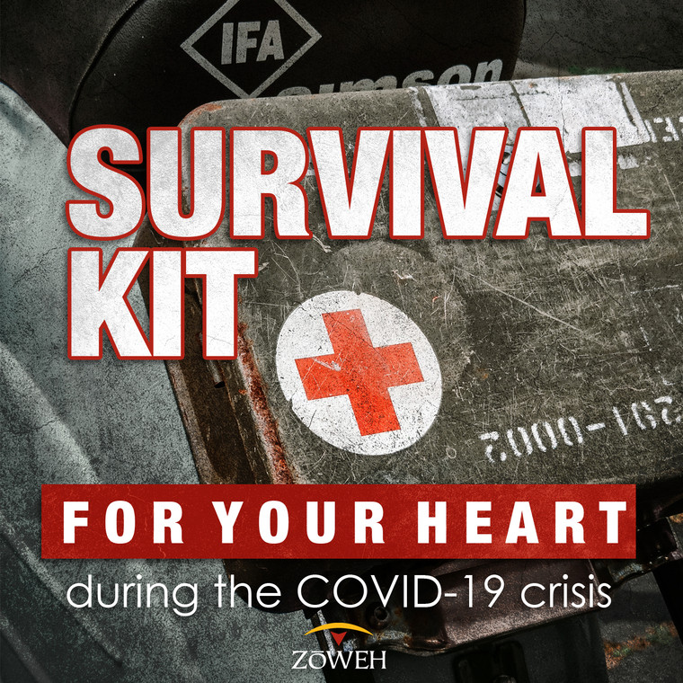 Zoweh's Preselected Survival Kit for your Heart