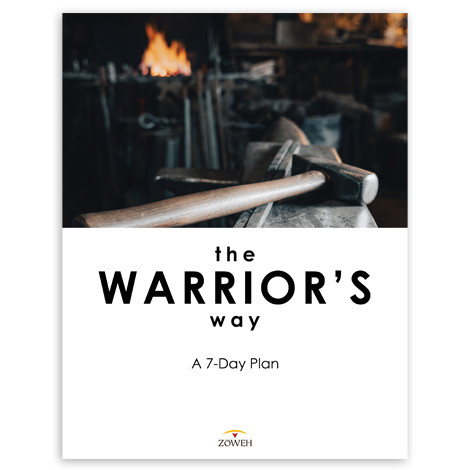The Warrior's Way Devotional (PDF Download)