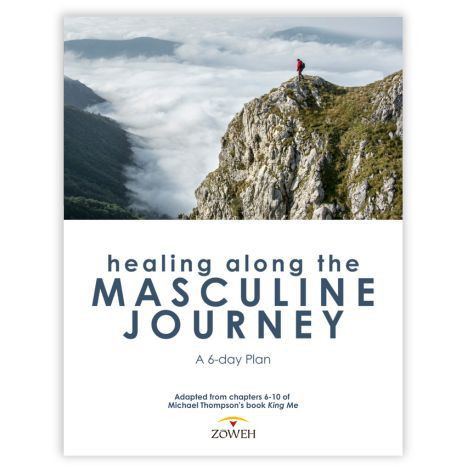 Healing Along the Masculine Journey YouVersion Reading Plan