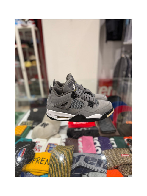Jordan 4 Cool Grey (2019) (Pre-Owned)