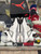 Jordan 4 White Cement (2025) (Pre-Owned)