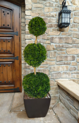 Evergreen Topiary