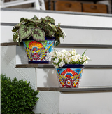 Planter Talavera assorted varieties