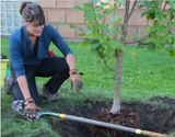 Summer Planting
