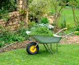 Ask Christen Farm Nursery: Pesticide Residue in Compost from Lawn Waste and Conventional Produce Ask Christen Farm Nursery: Pesticide Residue in Compost from Lawn Waste and Conventional Produce