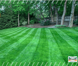 Organic Fertilization for your lawn and garden this summer.