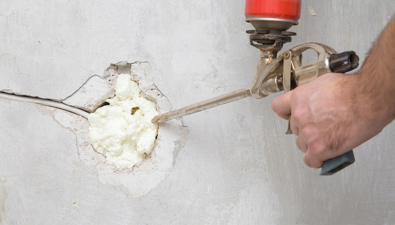 Should I plug up any holes between the crawl space and the house?