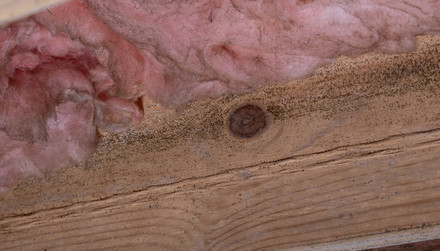 What if I see mold or mildew on the floor joists in my crawl space?