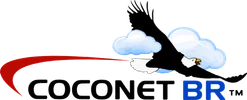COCONET-BR - Ecommerce Platform Ecosystem