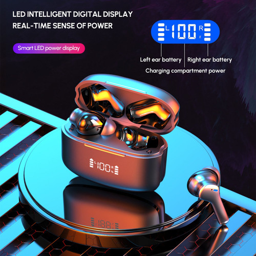 EchoNova Pro Dual Noise Cancelling True Wireless Earbuds, Bluetooth 5.0 Headphones with Mic, Deep Bass, LED Display for iPhone & Android