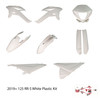2019 125 RR-S White Plastic Kit