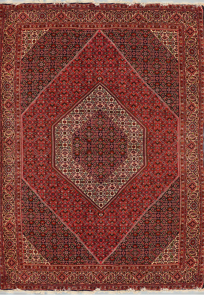 6'6 x 9'8 Persian Bijar Rug 6'6 x 9'8 Persian Bijar Rug