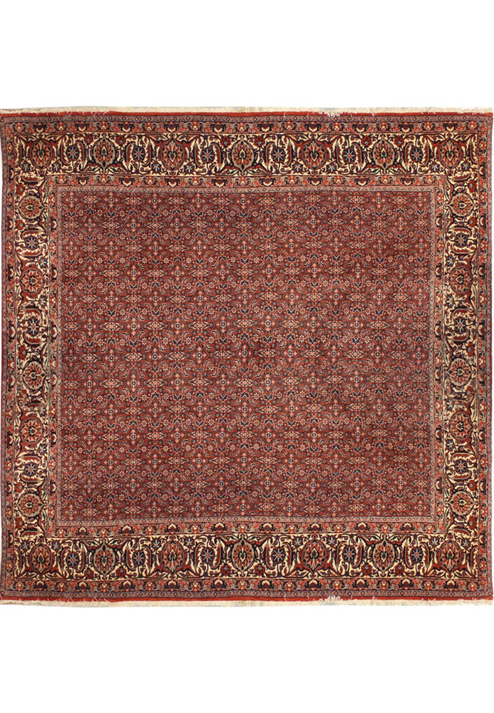8'4 x 8'4 Persian Bijar Square Rug 8'4 x 8'4 Persian Bijar Square Rug