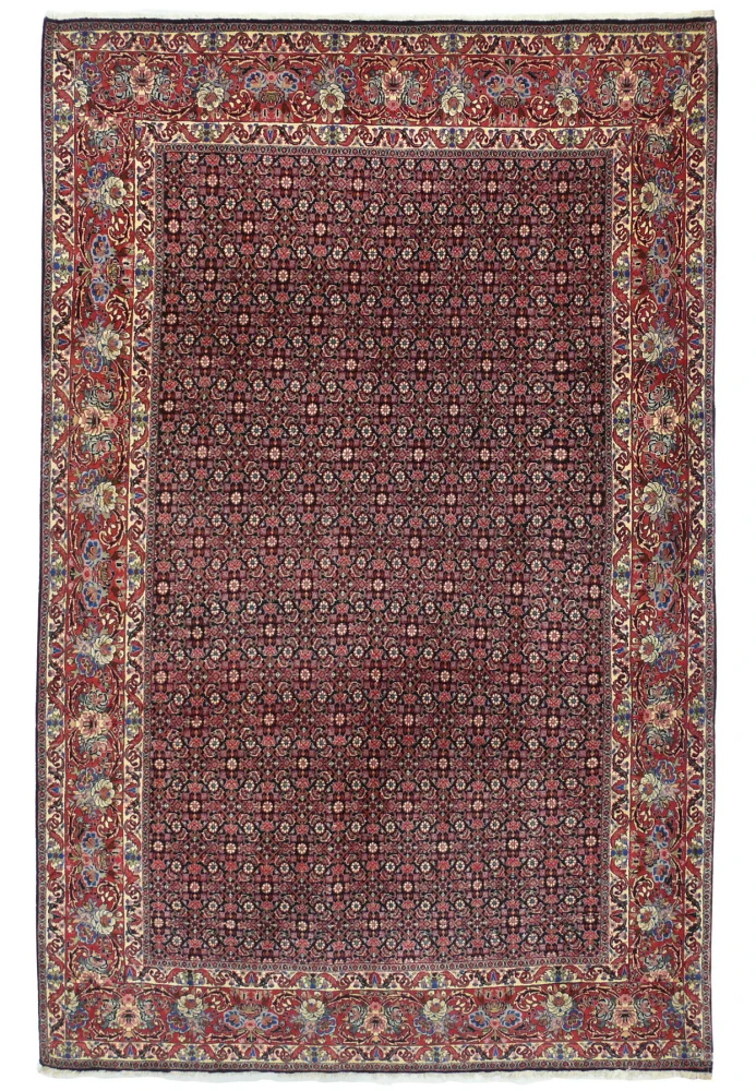 Hand-knotted 6x10 Persian Bijar rug full view with midnight navy field, Herati design, and red floral border