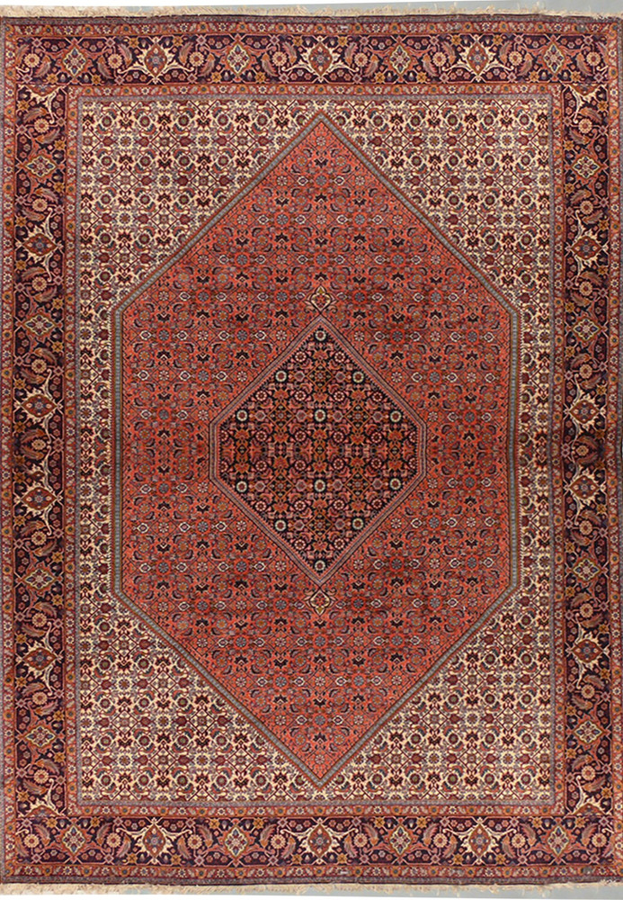 Persian Bijar Rug 6"50" x 9'68" Mahi Design
