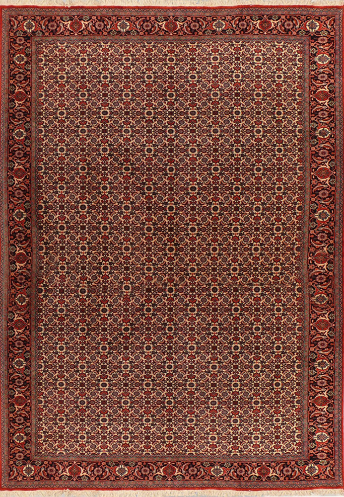 Full view of 6'5 x 9'5 Persian Bijar Rug with all over design Full view of 6'5 x 9'5 Persian Bijar Rug with all over design