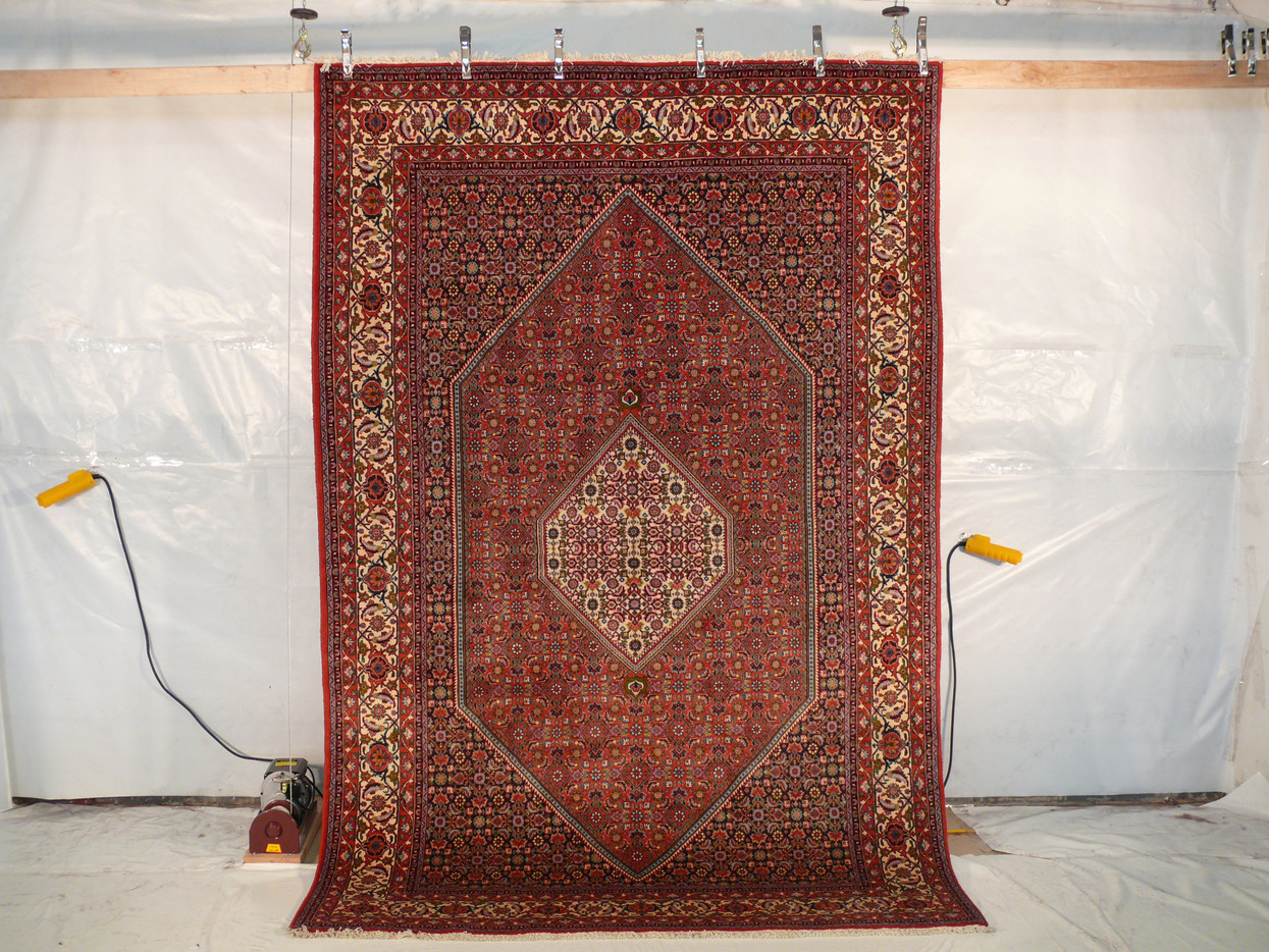 7 x 10 Persian Bijar Rug  Mahi Design