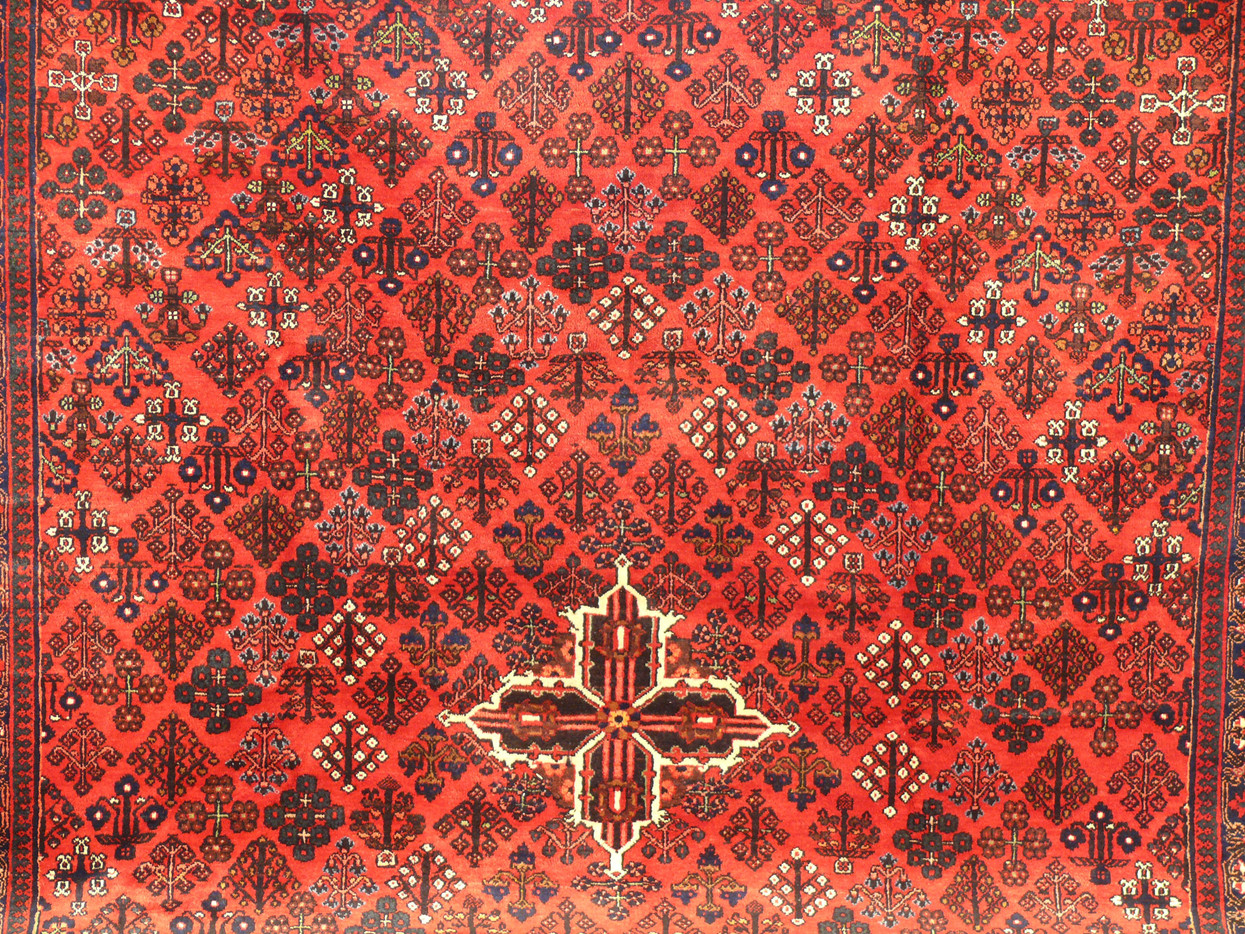 10'9 x 14'6 Persian Josheghan Rug