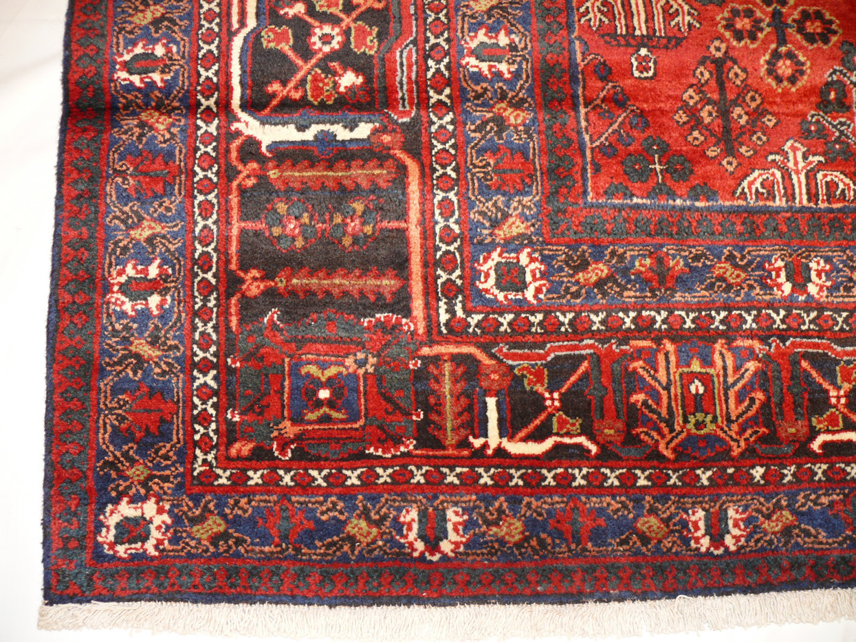 10'9 x 14'6 Persian Josheghan Rug