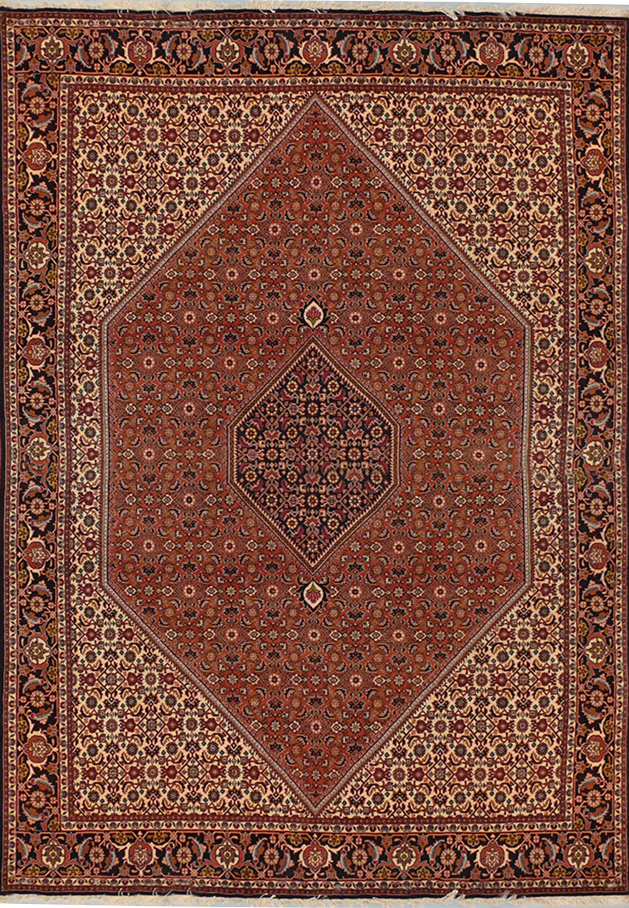 6'8 x 10 Persian Bijar Rug