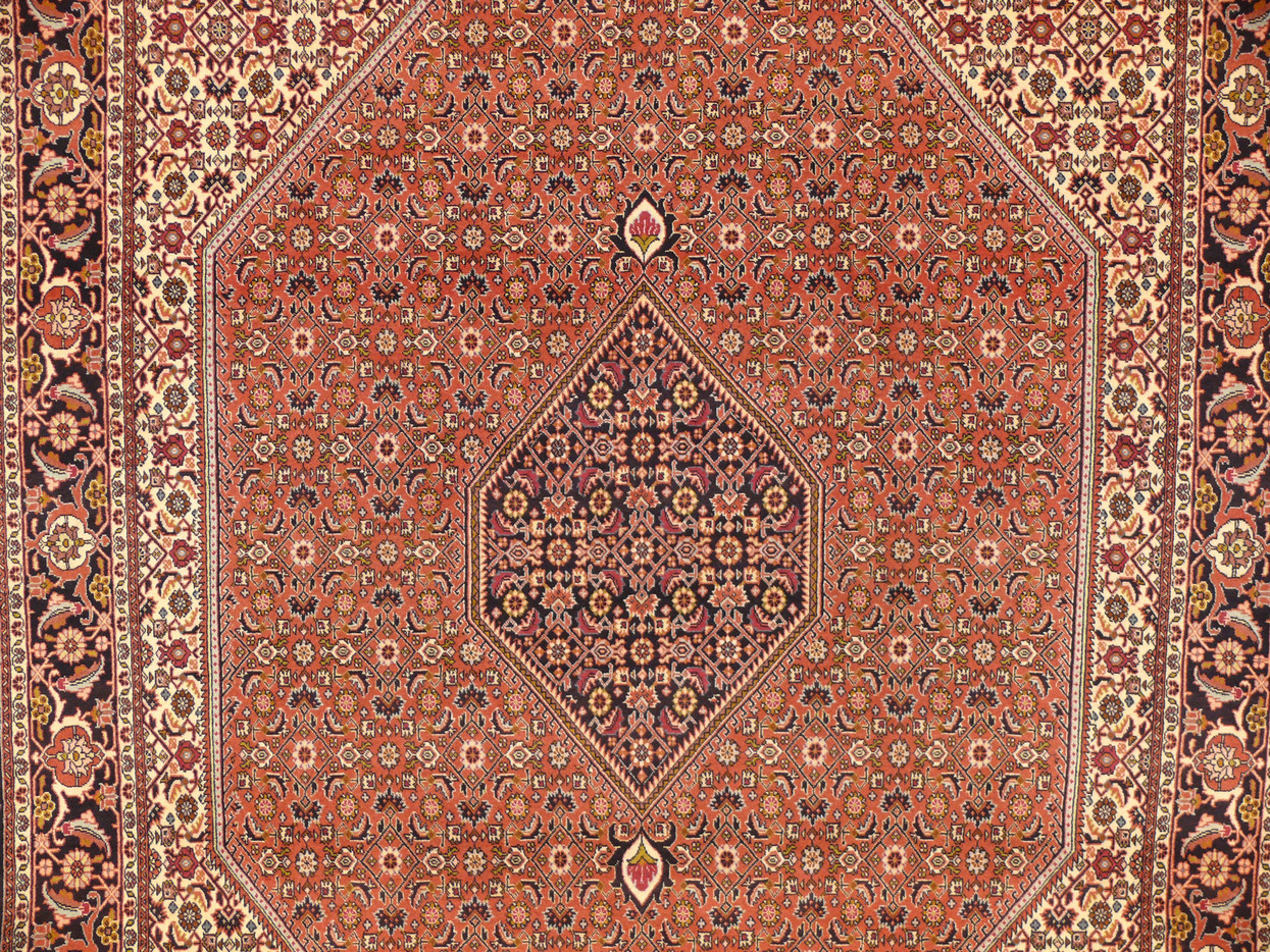 6'8 x 10 Persian Bijar Rug