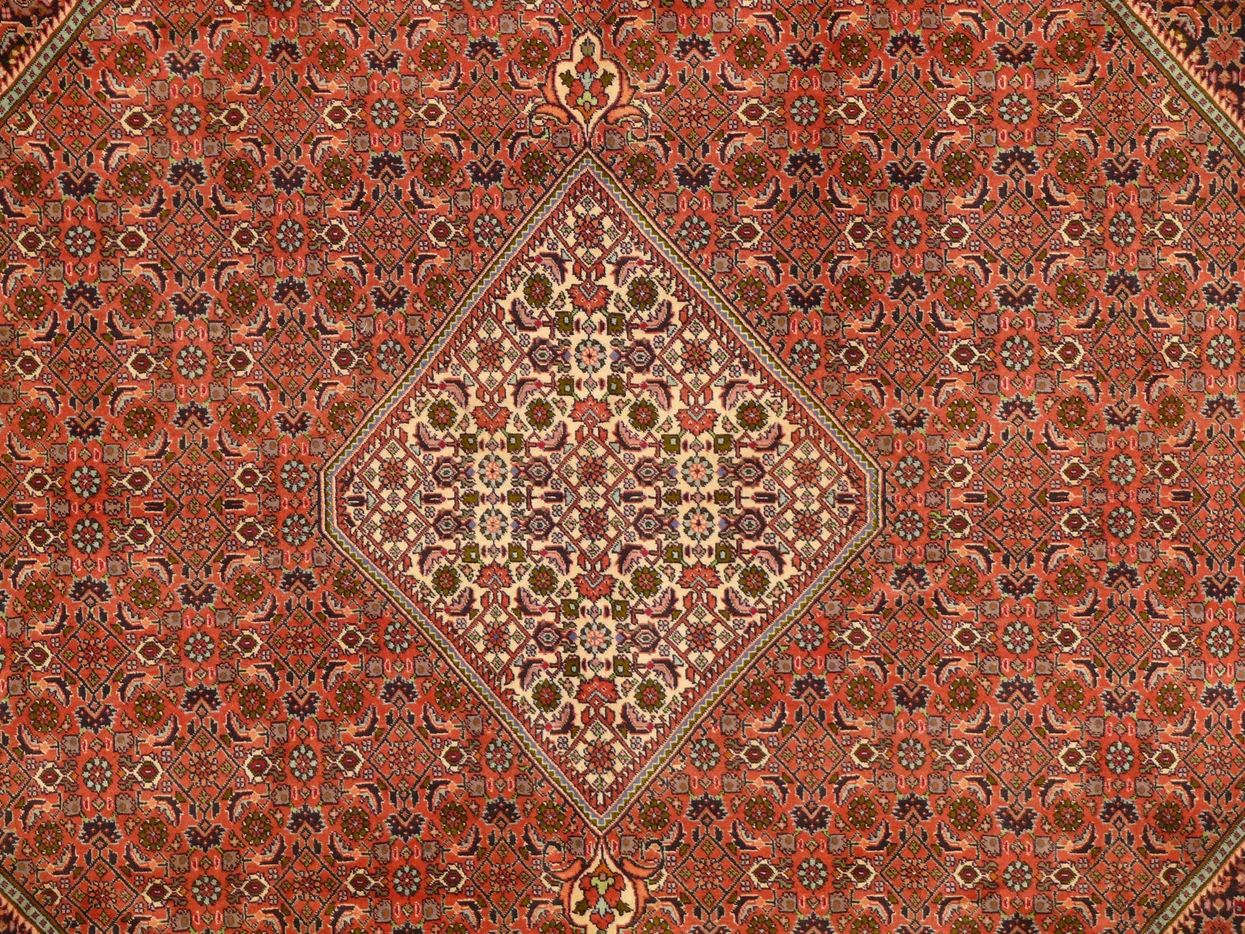 8'1" x 11'3" Persian Bijar Rug
