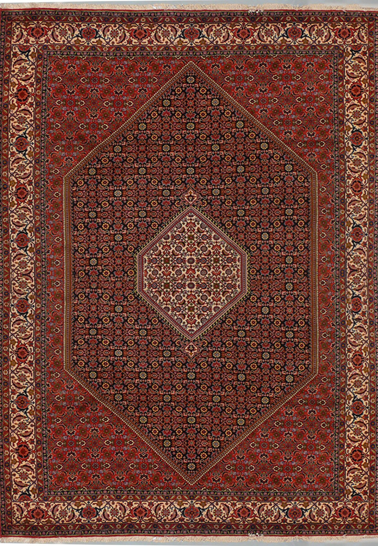 6'7" x 10 Persian Bijar Rug Mahi Design