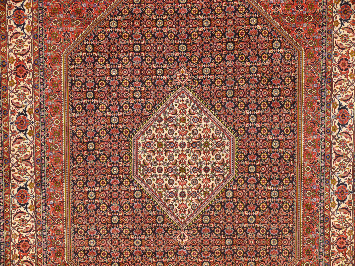 6'7" x 10 Persian Bijar Rug Mahi Design