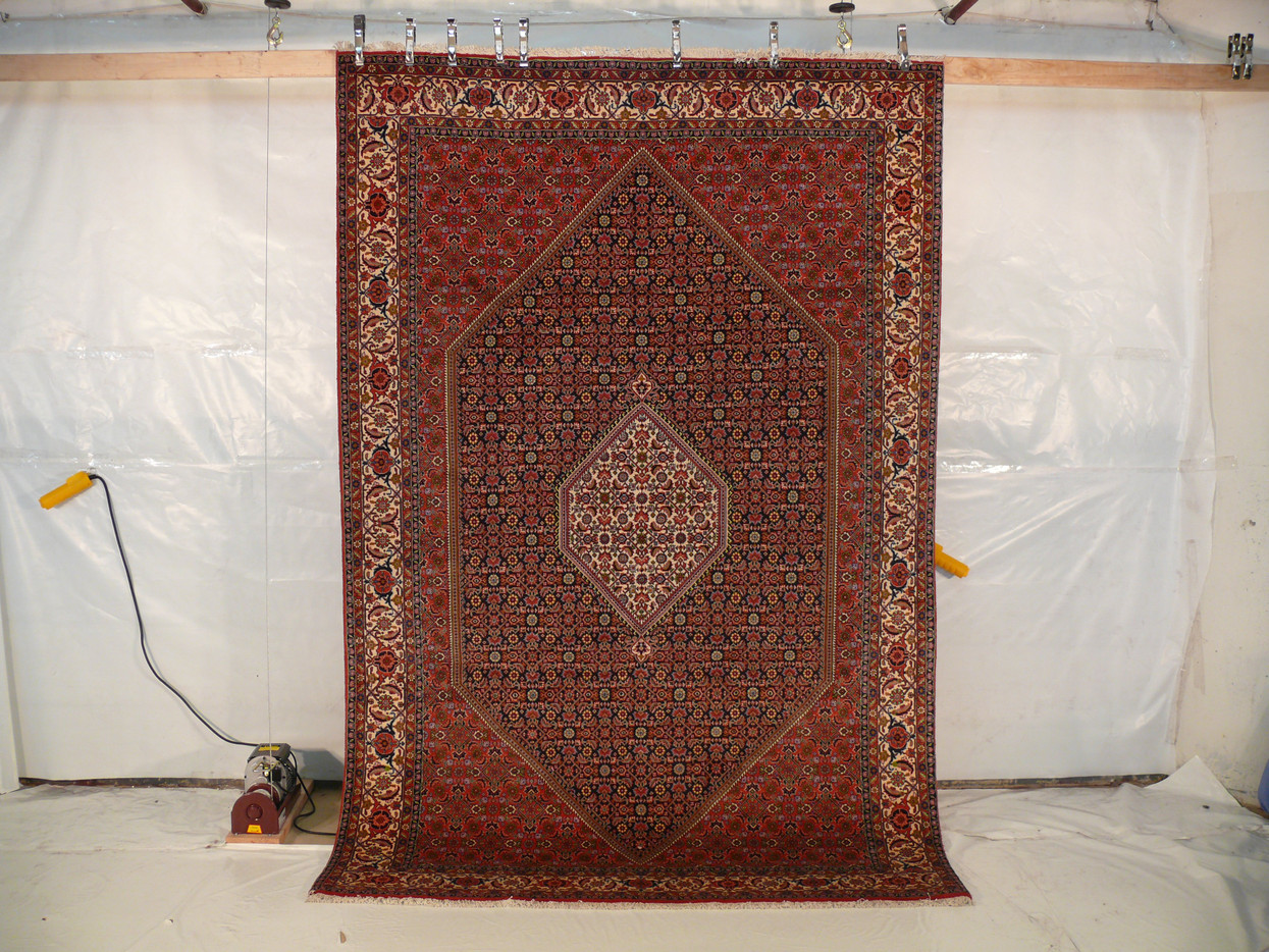 6'7" x 10 Persian Bijar Rug Mahi Design