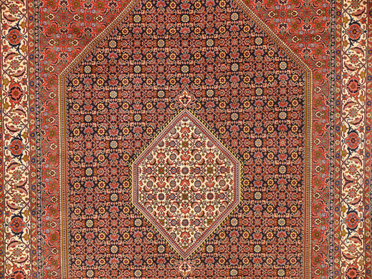 6'7" x 10 Persian Bijar Rug Mahi Design
