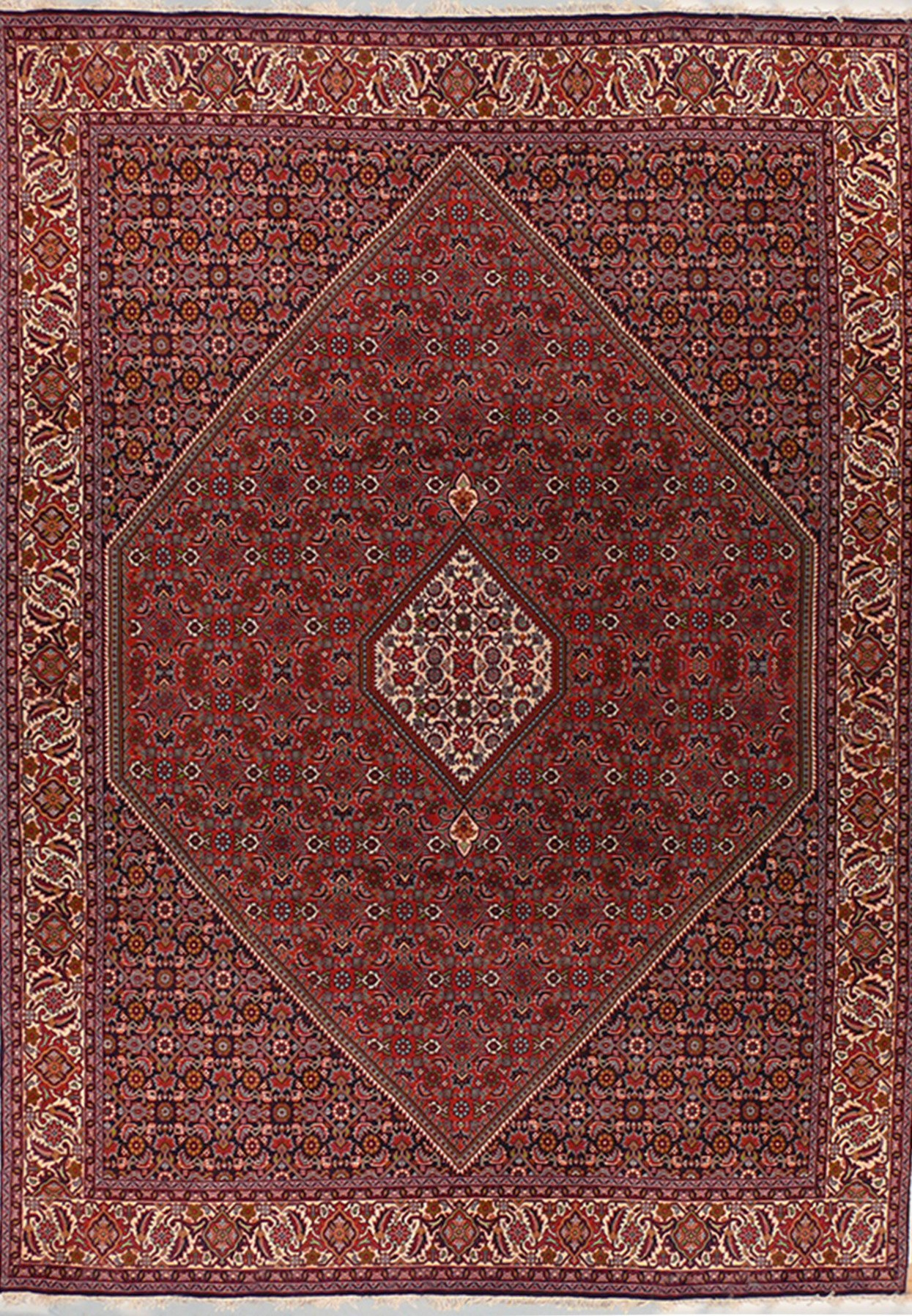 6'7 x 9'5 Persian Bijar Rug