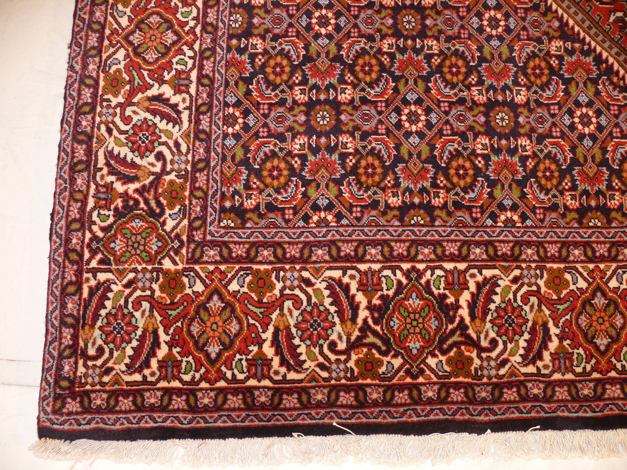 6'7 x 9'5 Persian Bijar Rug