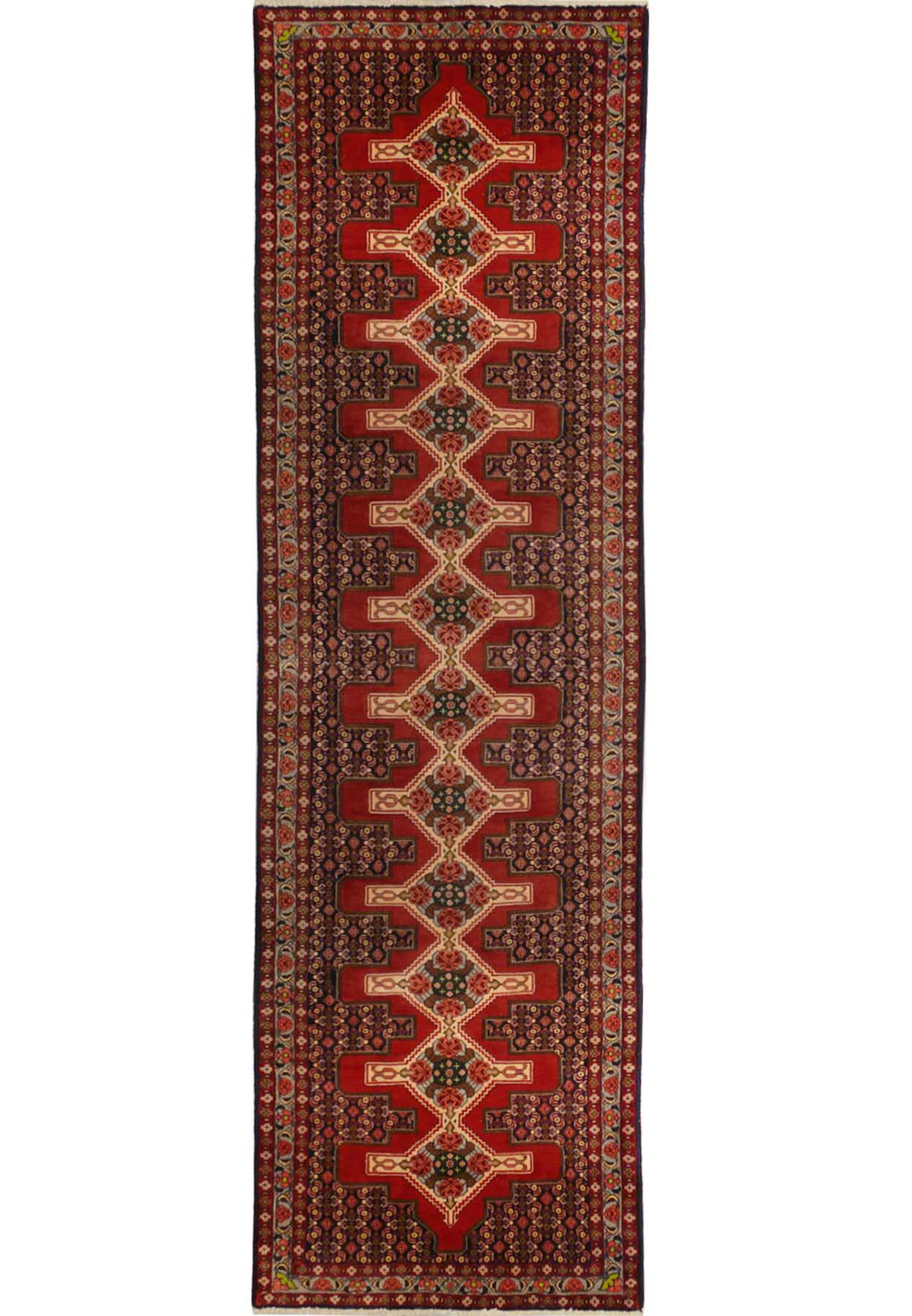3 x 13 Geometric & Botanical Persian Senneh Runner Rug