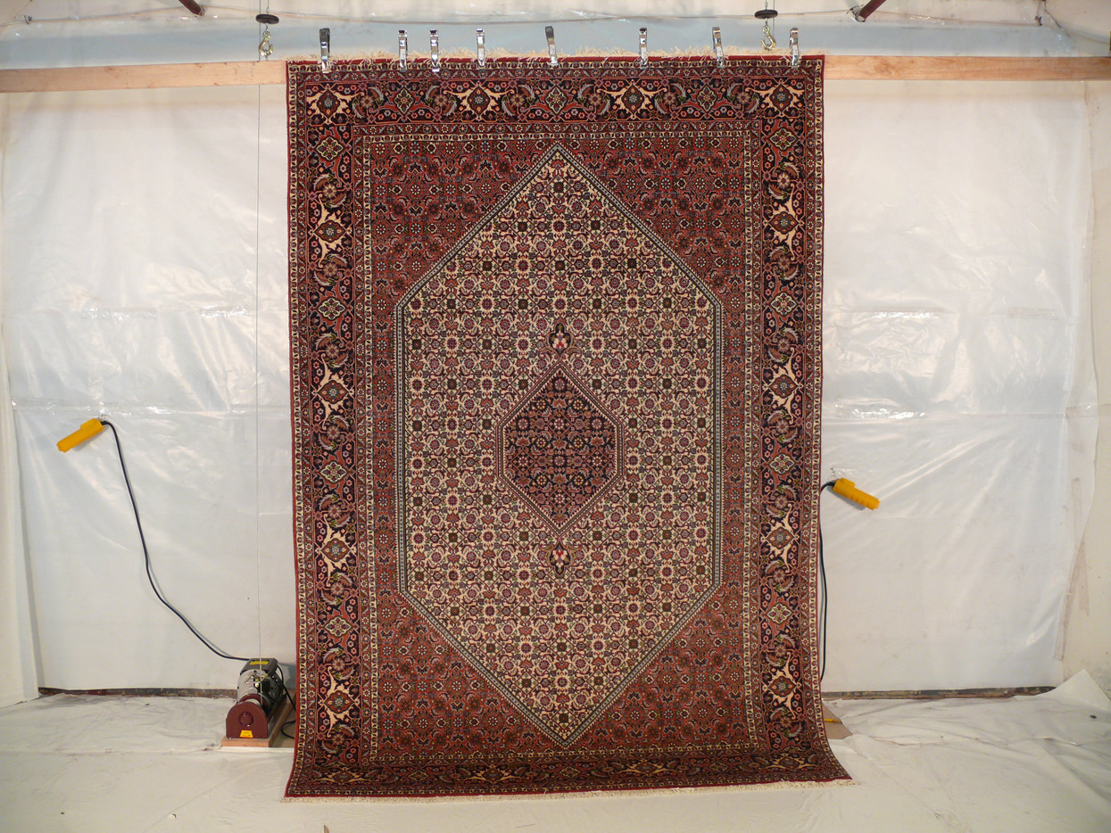 6'6" x 9'7" Persian Bijar Mahi Design
