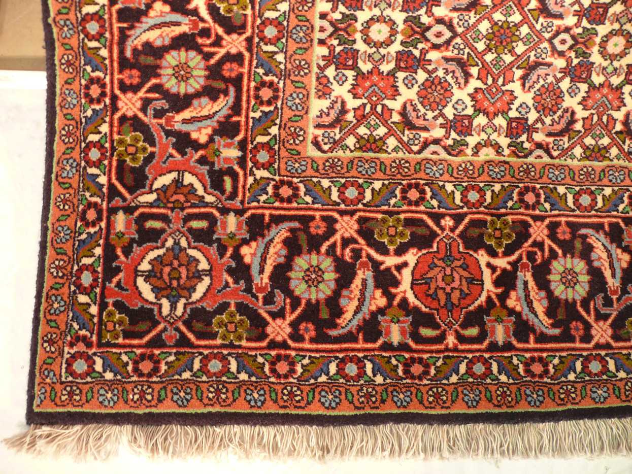 6'3 x 9'6 Persian Bijar Rug Mahi Design