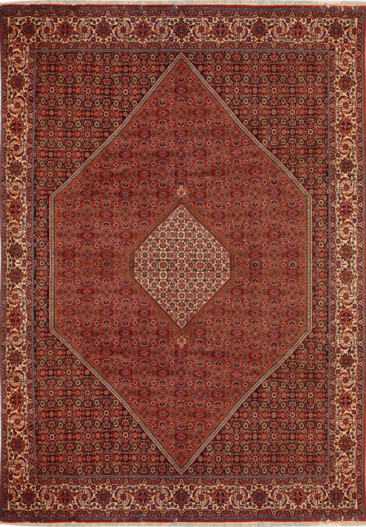 8'2 x 11'5 Persian Bijar Rug