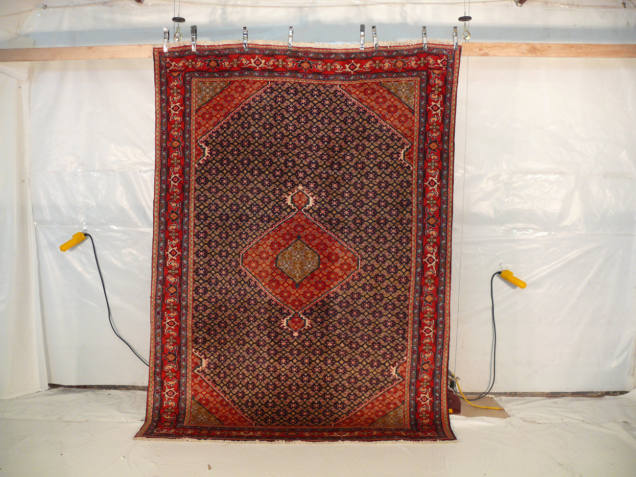 6'6" x 9' Antique Persian Bijar Rug