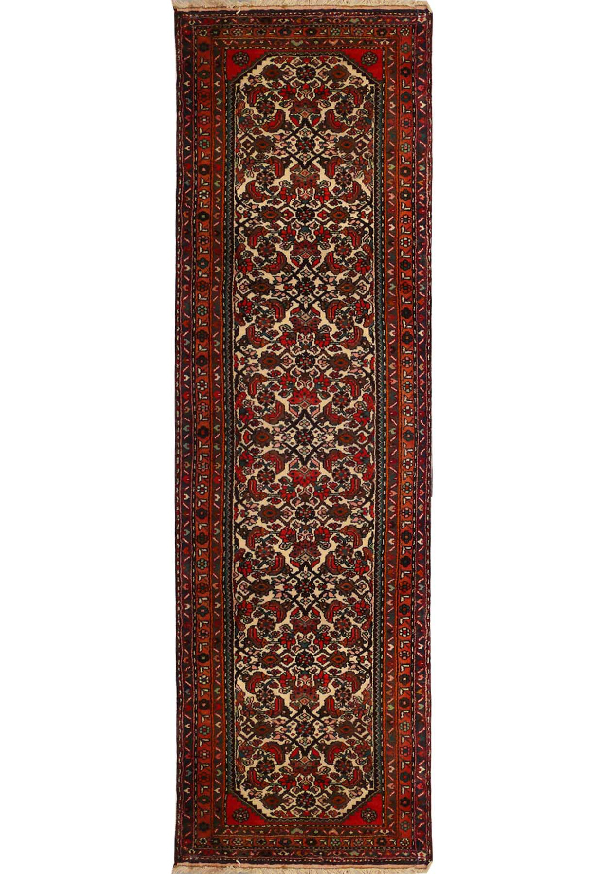 Full view of the 3 x 10 Persian Rudbar Runner Rug showcasing its traditional design.