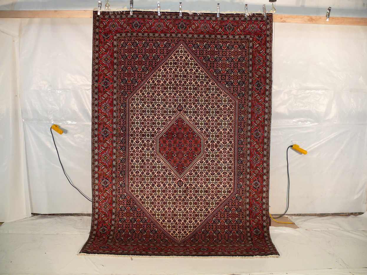 6'6  x 9'9 Persian Bijar Rug Mahi Design