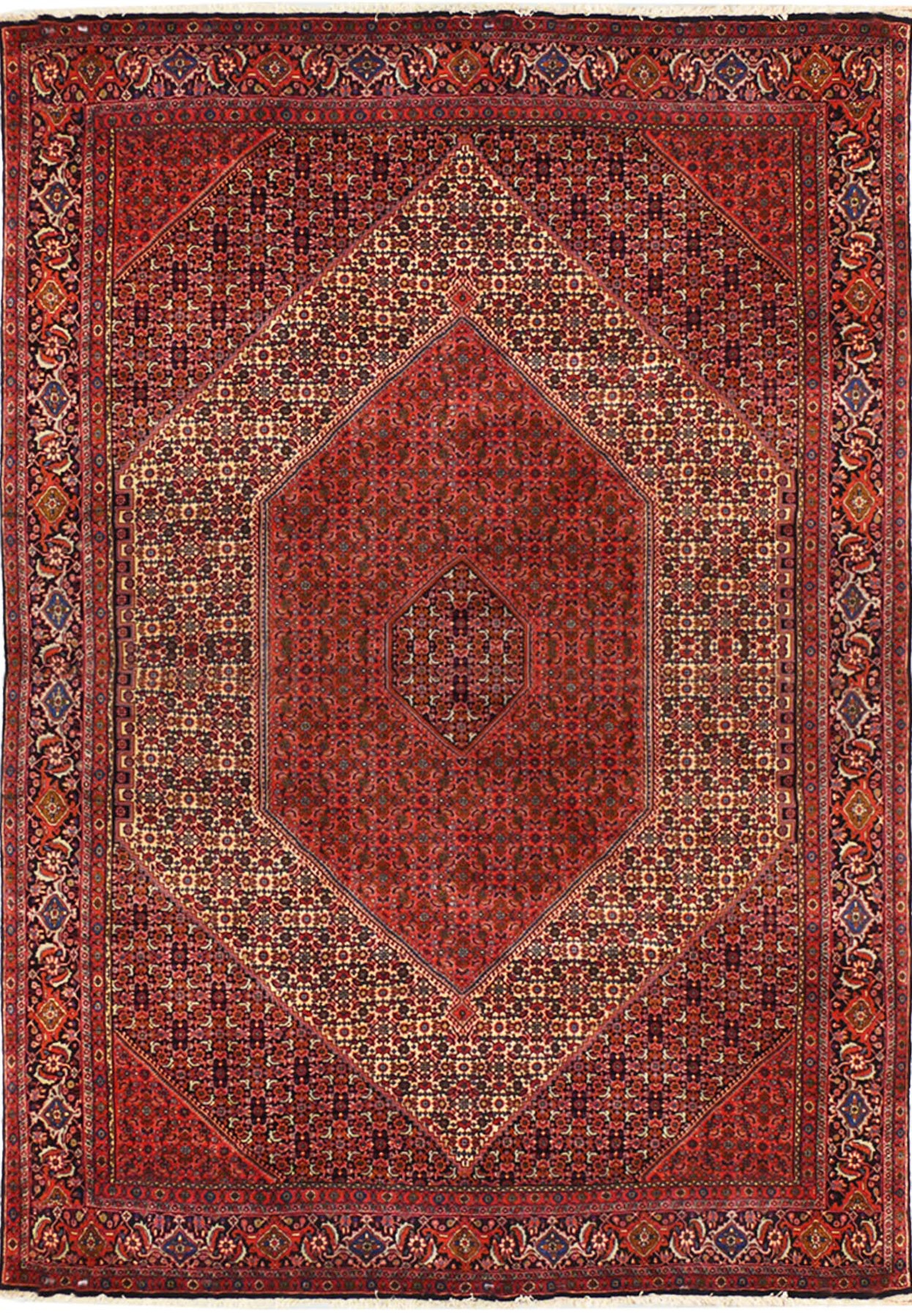 8'2 x 11'6 Persian Bijar Rug