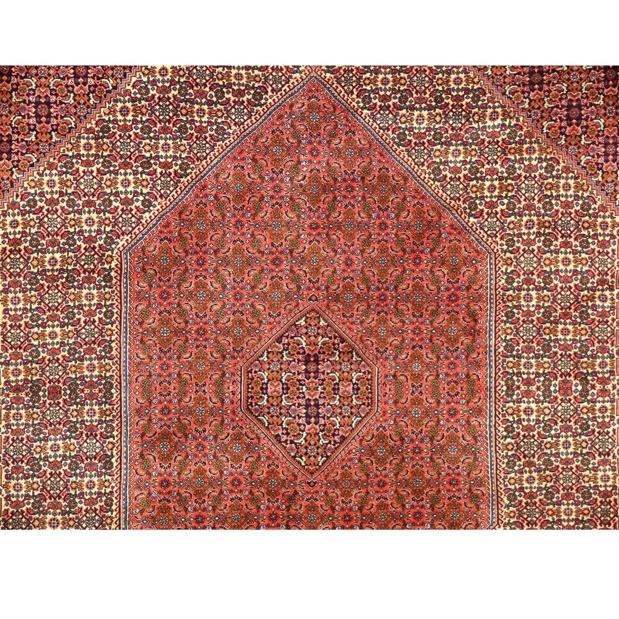8'2 x 11'6 Persian Bijar Rug
