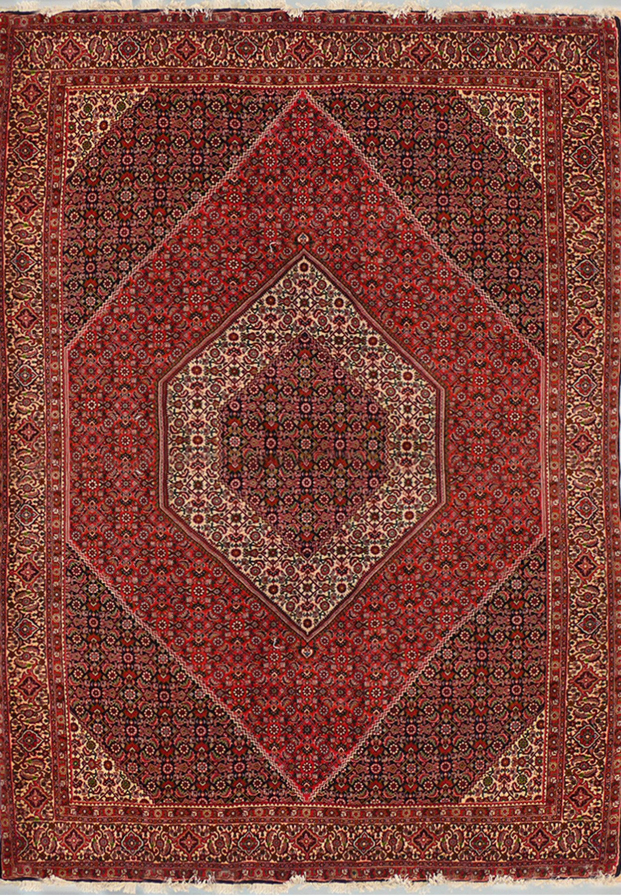 6'6 x 9'8 Persian Bijar Rug