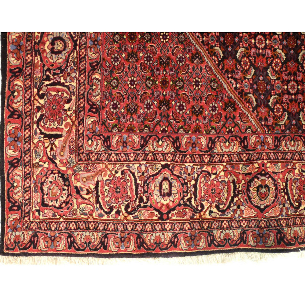 8'2 x 11'5 Persian Bijar Iron Rug
